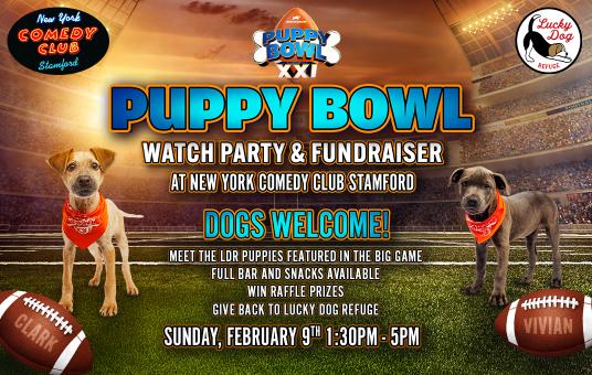 Puppy Bowl